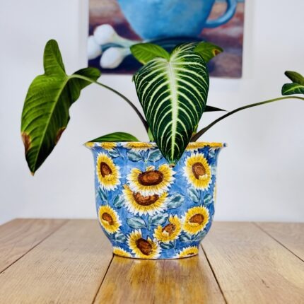 כלי מיוחד לעציץ חמניות