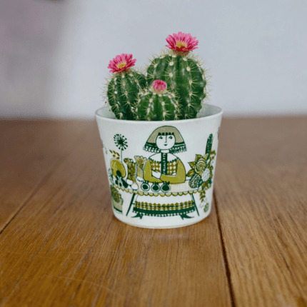 חברת פיגיו נורבגיה כלי קטן לעציץ