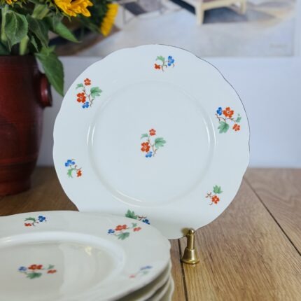 צלחות מנה עיקרית גרמניה וינטג׳